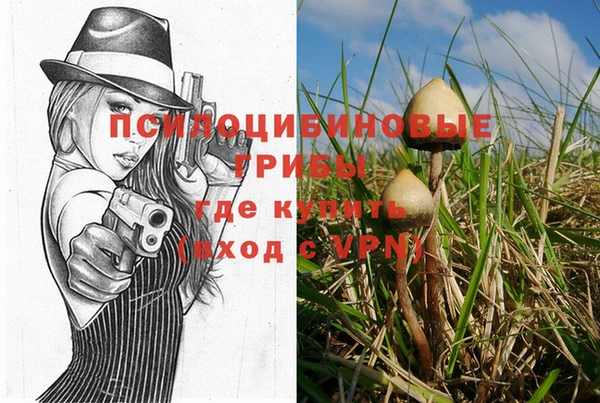 трава Абаза