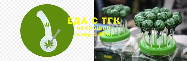 дурь Инта