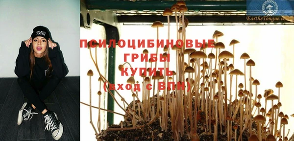 2c-b Абинск