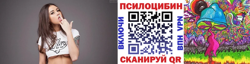 Псилоцибиновые грибы Psilocybe  купить закладку  Гусиноозёрск 